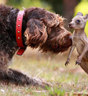 Et spesielt vennskap. Foto: Dagbladet