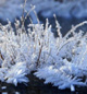Ja takk, dette vil jeg ha. Foto: NRK.