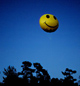 Fly fly din vei. Foto: Dagbladet.