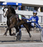 Travsport er slettes ikke ufarlig. Foto: Hesteguiden.