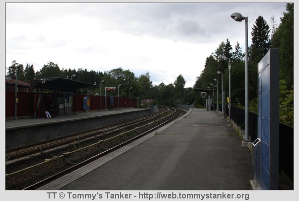Litt av stasjonsmiljøet på Holmen T-banestasjon. Foto: TT.