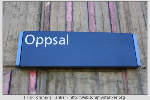 Dette er Oppsal T-banestasjon. Foto: TT.