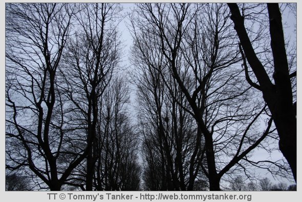 Liker du linjene? Foto: JTK.