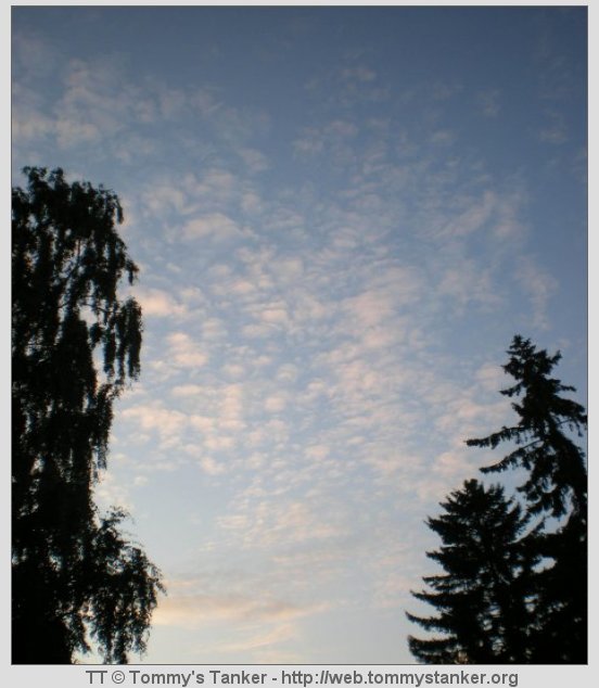 Vakkert ikke sant? Foto: JTK.