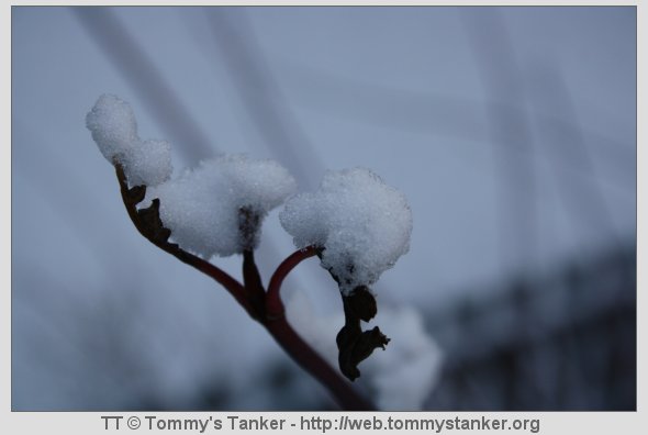 Fargene og stemningen er spesiell om vinteren. Foto: JTK.