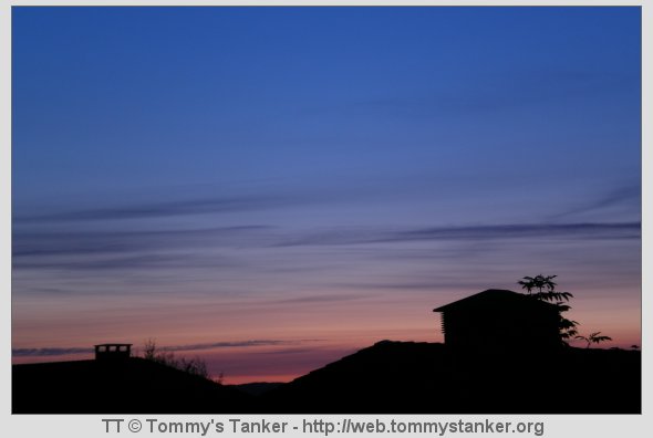 Det vakreste finnes rett utenfor stuevinduet. Foto: JTK.