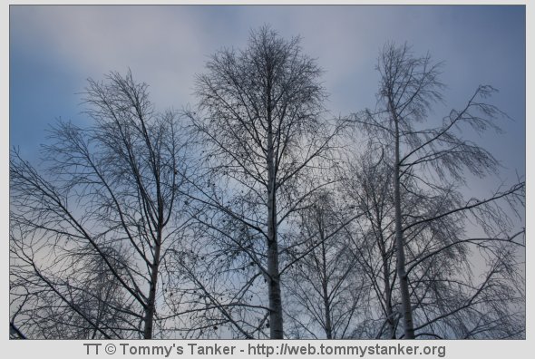 Denne årstiden har definitivt sin sjarm. Foto: TT.