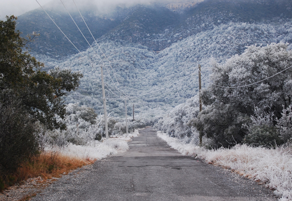 Kong Vinter kommer, rydd vei. Foto: SXC.
