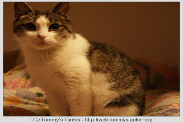 Er hun ikke bare herlig? Foto: TT.