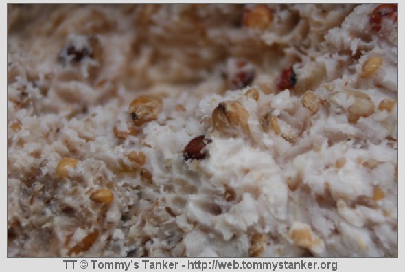 Skulle det være en bit? Foto: TT.