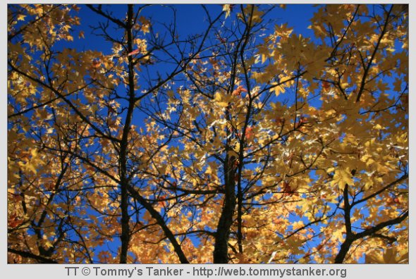 Bildet-00-Uke-38-2012